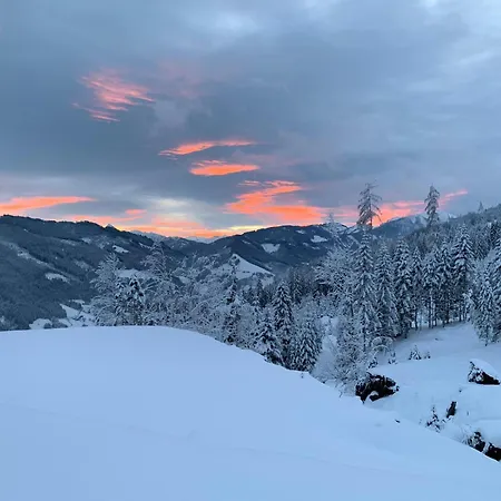 Bio Alpenhof Rostatt