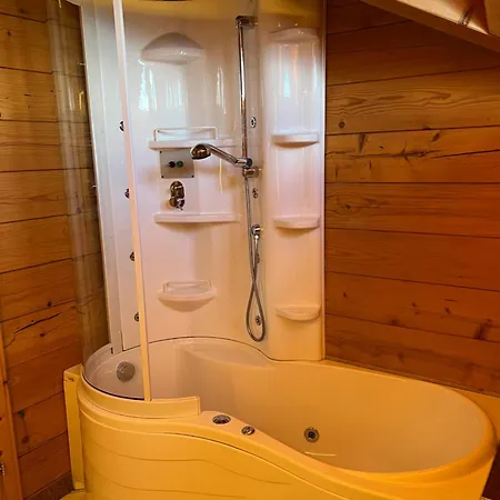 Farm stay Bio Alpenhof Rostatt Bischofshofen